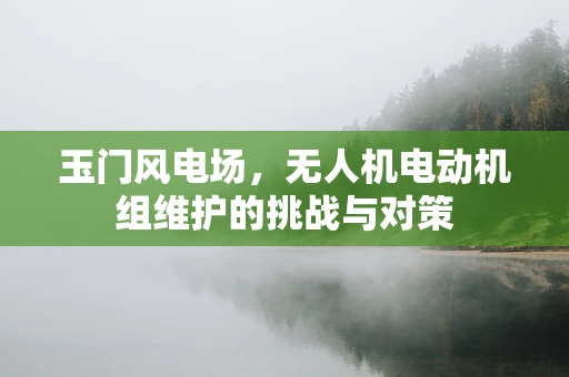 玉门风电场，无人机电动机组维护的挑战与对策