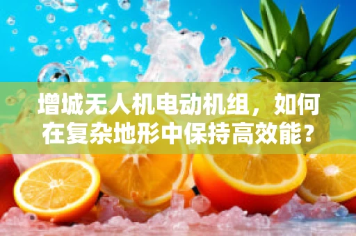 增城无人机电动机组，如何在复杂地形中保持高效能？