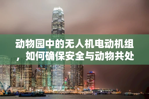 动物园中的无人机电动机组，如何确保安全与动物共处？