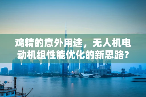 鸡精的意外用途，无人机电动机组性能优化的新思路？