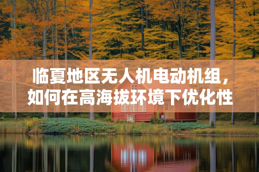 临夏地区无人机电动机组，如何在高海拔环境下优化性能？