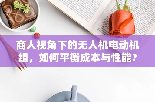 商人视角下的无人机电动机组，如何平衡成本与性能？