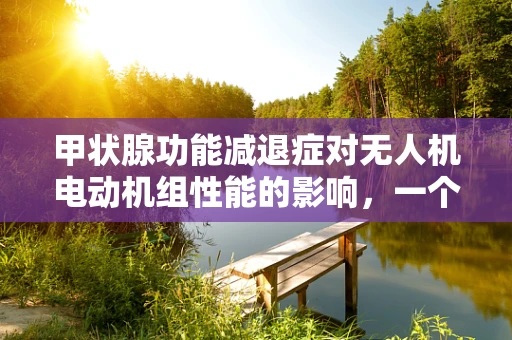 甲状腺功能减退症对无人机电动机组性能的影响，一个技术员的专业疑问