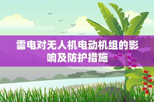 雷电对无人机电动机组的影响及防护措施