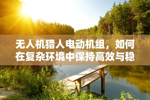 无人机猎人电动机组，如何在复杂环境中保持高效与稳定？