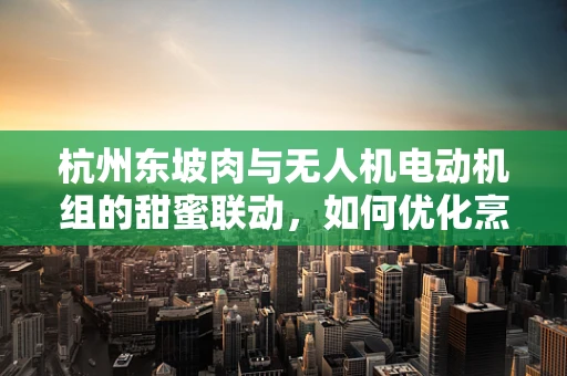 杭州东坡肉与无人机电动机组的甜蜜联动，如何优化烹饪过程中的能量转换效率？