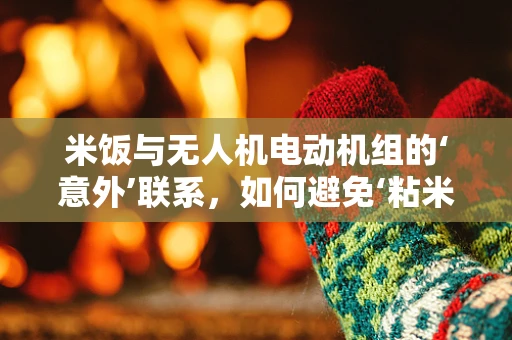 米饭与无人机电动机组的‘意外’联系，如何避免‘粘米’困境？