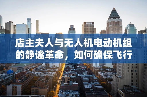 店主夫人与无人机电动机组的静谧革命，如何确保飞行中的无声体验？