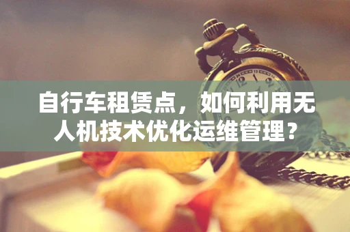 自行车租赁点，如何利用无人机技术优化运维管理？
