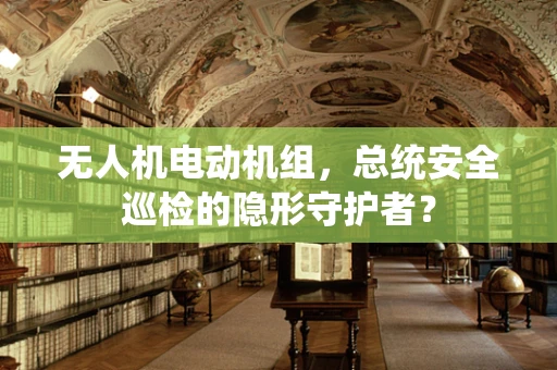 无人机电动机组，总统安全巡检的隐形守护者？