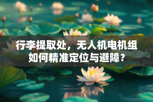 行李提取处，无人机电机组如何精准定位与避障？