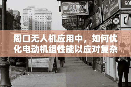 周口无人机应用中，如何优化电动机组性能以应对复杂地形挑战？