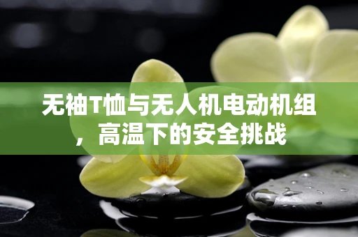 无袖T恤与无人机电动机组，高温下的安全挑战