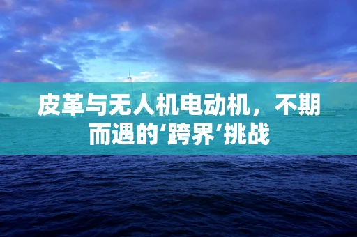 皮革与无人机电动机，不期而遇的‘跨界’挑战
