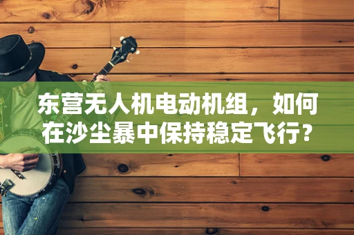 东营无人机电动机组，如何在沙尘暴中保持稳定飞行？