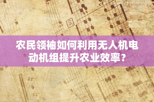 农民领袖如何利用无人机电动机组提升农业效率？