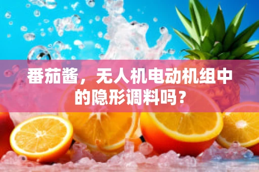 番茄酱，无人机电动机组中的隐形调料吗？