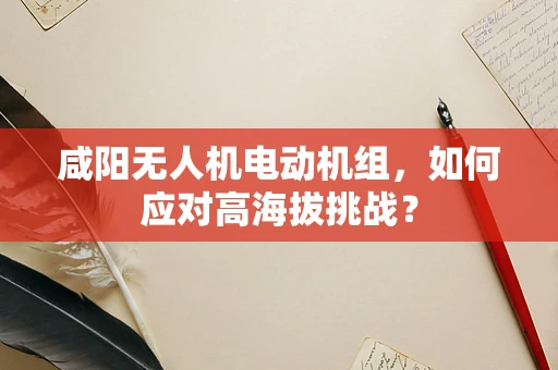 咸阳无人机电动机组，如何应对高海拔挑战？