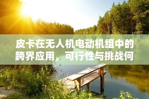 皮卡在无人机电动机组中的跨界应用，可行性与挑战何在？