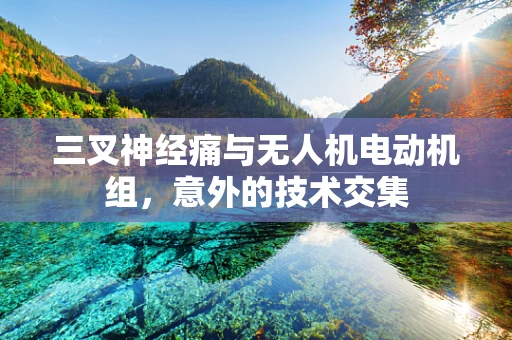 三叉神经痛与无人机电动机组，意外的技术交集