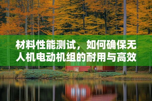材料性能测试，如何确保无人机电动机组的耐用与高效？
