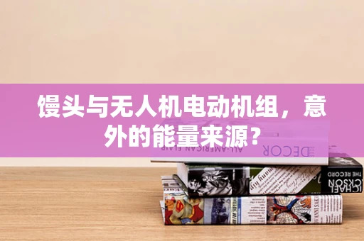 馒头与无人机电动机组，意外的能量来源？