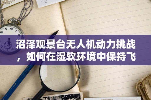 沼泽观景台无人机动力挑战，如何在湿软环境中保持飞行稳定？