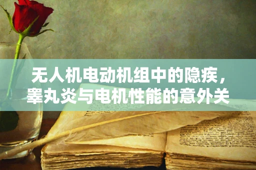 无人机电动机组中的隐疾，睾丸炎与电机性能的意外关联？