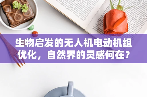 生物启发的无人机电动机组优化，自然界的灵感何在？