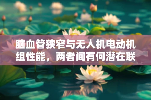 脑血管狭窄与无人机电动机组性能，两者间有何潜在联系？