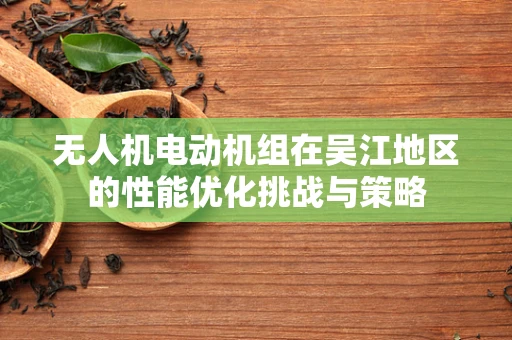 无人机电动机组在吴江地区的性能优化挑战与策略