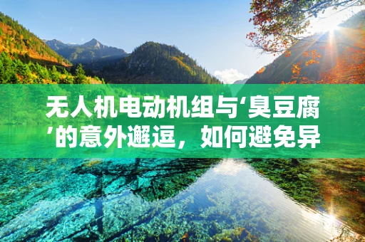 无人机电动机组与‘臭豆腐’的意外邂逗，如何避免异味干扰？