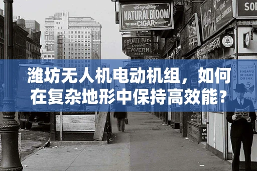 潍坊无人机电动机组，如何在复杂地形中保持高效能？