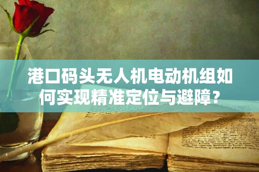 港口码头无人机电动机组如何实现精准定位与避障？