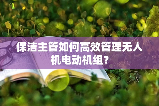 保洁主管如何高效管理无人机电动机组？