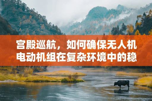 宫殿巡航，如何确保无人机电动机组在复杂环境中的稳定运行？