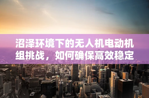 沼泽环境下的无人机电动机组挑战，如何确保高效稳定运行？