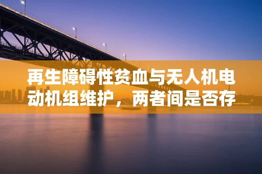 再生障碍性贫血与无人机电动机组维护，两者间是否存在未知联系？