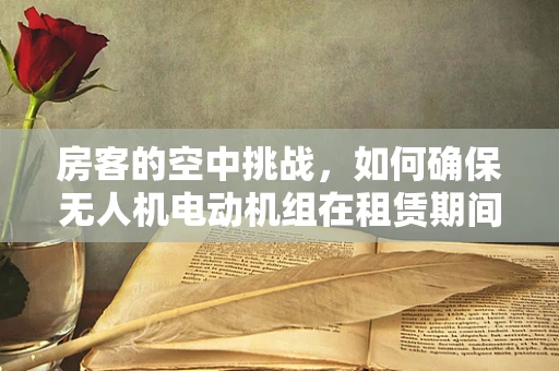 房客的空中挑战，如何确保无人机电动机组在租赁期间的安全与性能？