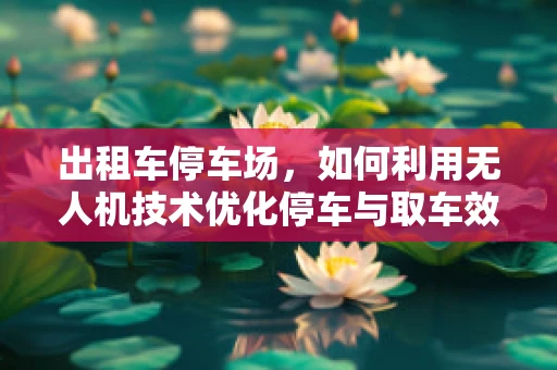 出租车停车场，如何利用无人机技术优化停车与取车效率？