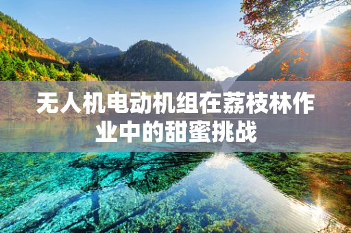 无人机电动机组在荔枝林作业中的甜蜜挑战