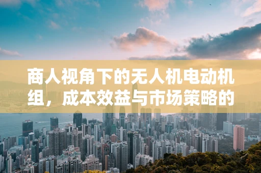 商人视角下的无人机电动机组，成本效益与市场策略的平衡点何在？
