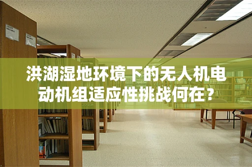 洪湖湿地环境下的无人机电动机组适应性挑战何在？