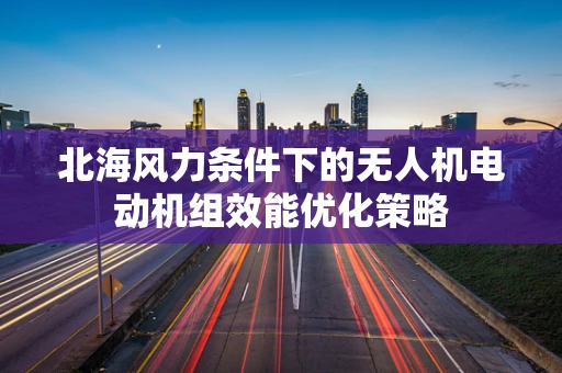 北海风力条件下的无人机电动机组效能优化策略