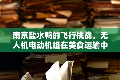 南京盐水鸭的飞行挑战，无人机电动机组在美食运输中的创新应用？