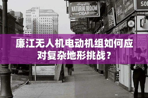 廉江无人机电动机组如何应对复杂地形挑战？