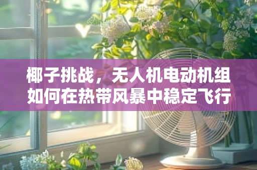 椰子挑战，无人机电动机组如何在热带风暴中稳定飞行？