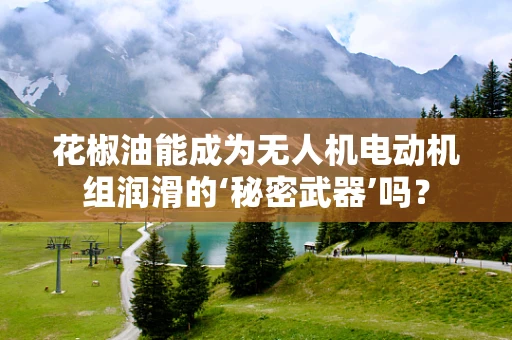 花椒油能成为无人机电动机组润滑的‘秘密武器’吗？