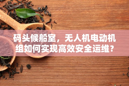 码头候船室，无人机电动机组如何实现高效安全运维？