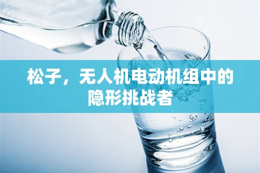 松子，无人机电动机组中的隐形挑战者